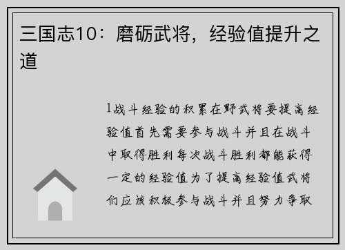 三国志10：磨砺武将，经验值提升之道
